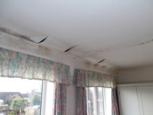 Mould on Ceiling in bedroom