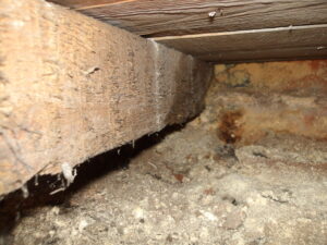 floor joist rotting